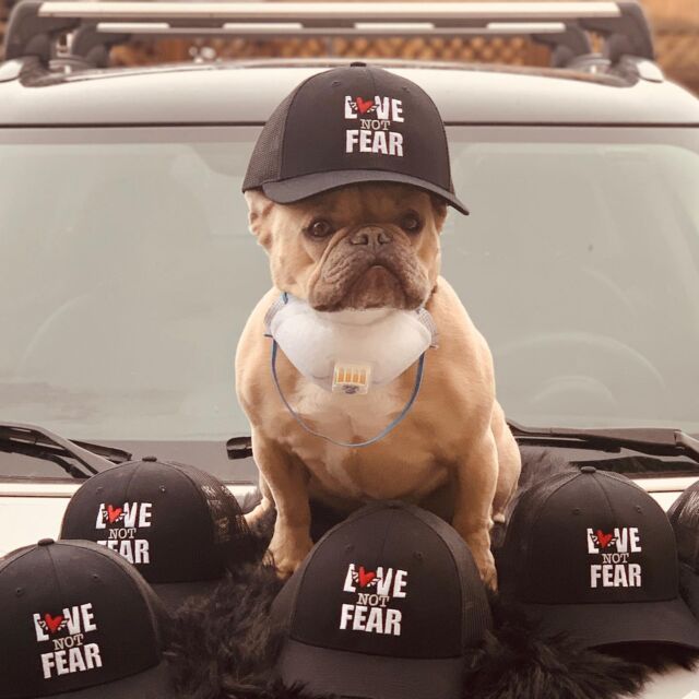 We always have the choice to Choose Love!  Spread The Love! $5 of every item sold goes to Lift Up!
See store link in Bio. 
#chooselove #lovenotfear #liftup #aspen #basalt #carbondale